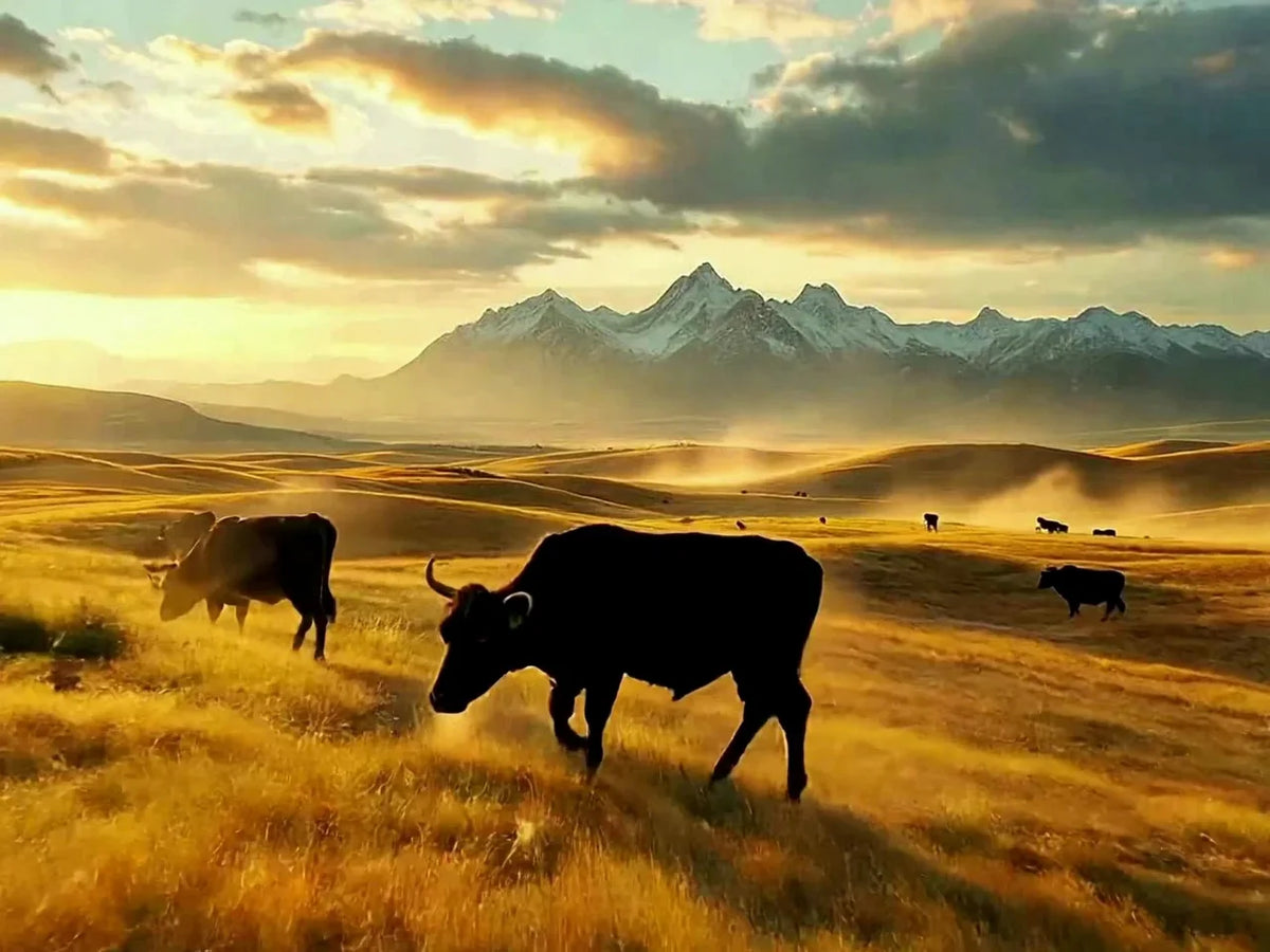 domainwesternmeats-marbling.webp